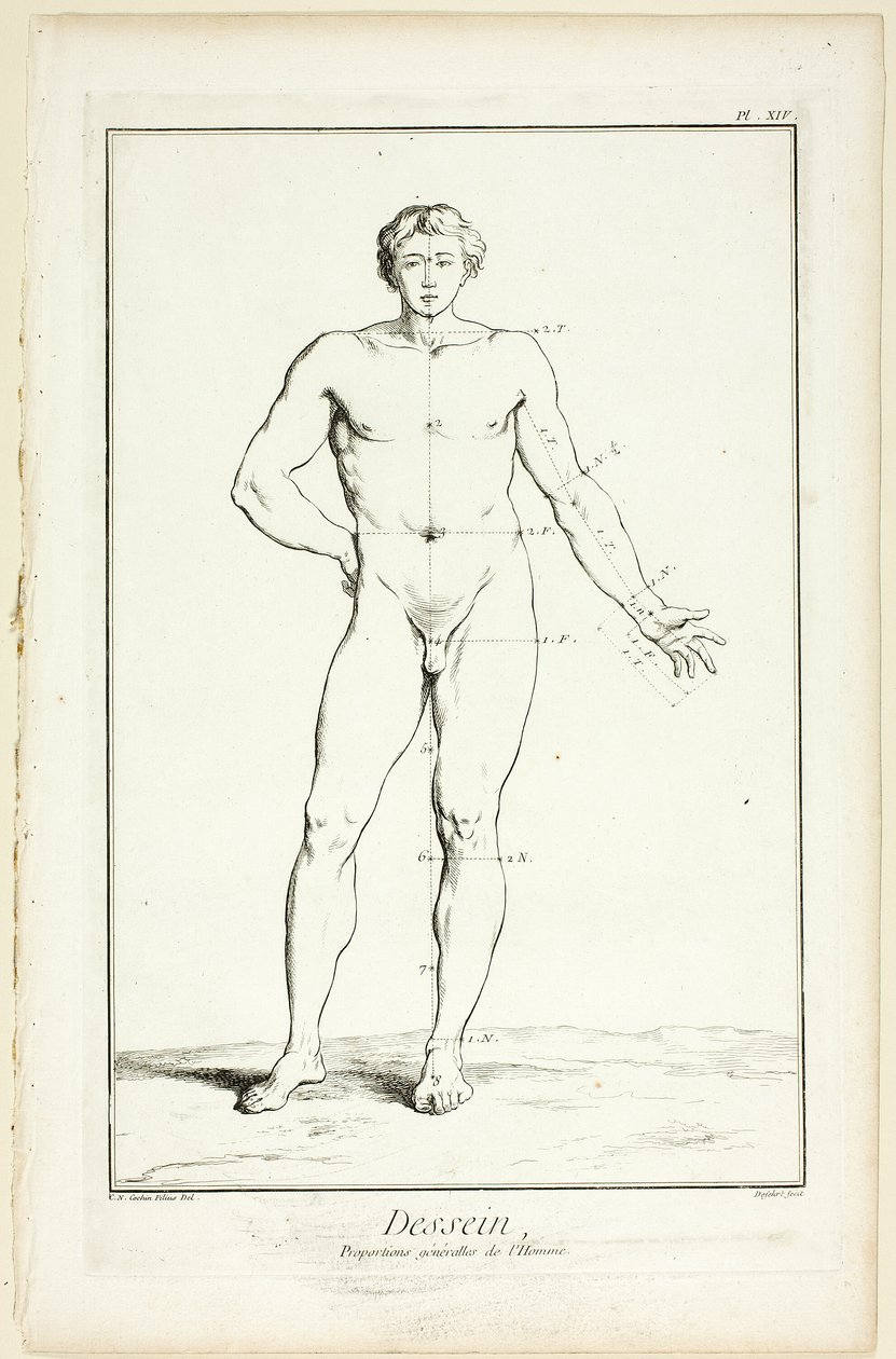 Tervezés: Encyclopédie: A férfi általános arányai, az Encyclopédie-ból. alkotó: A. J. Defehrt