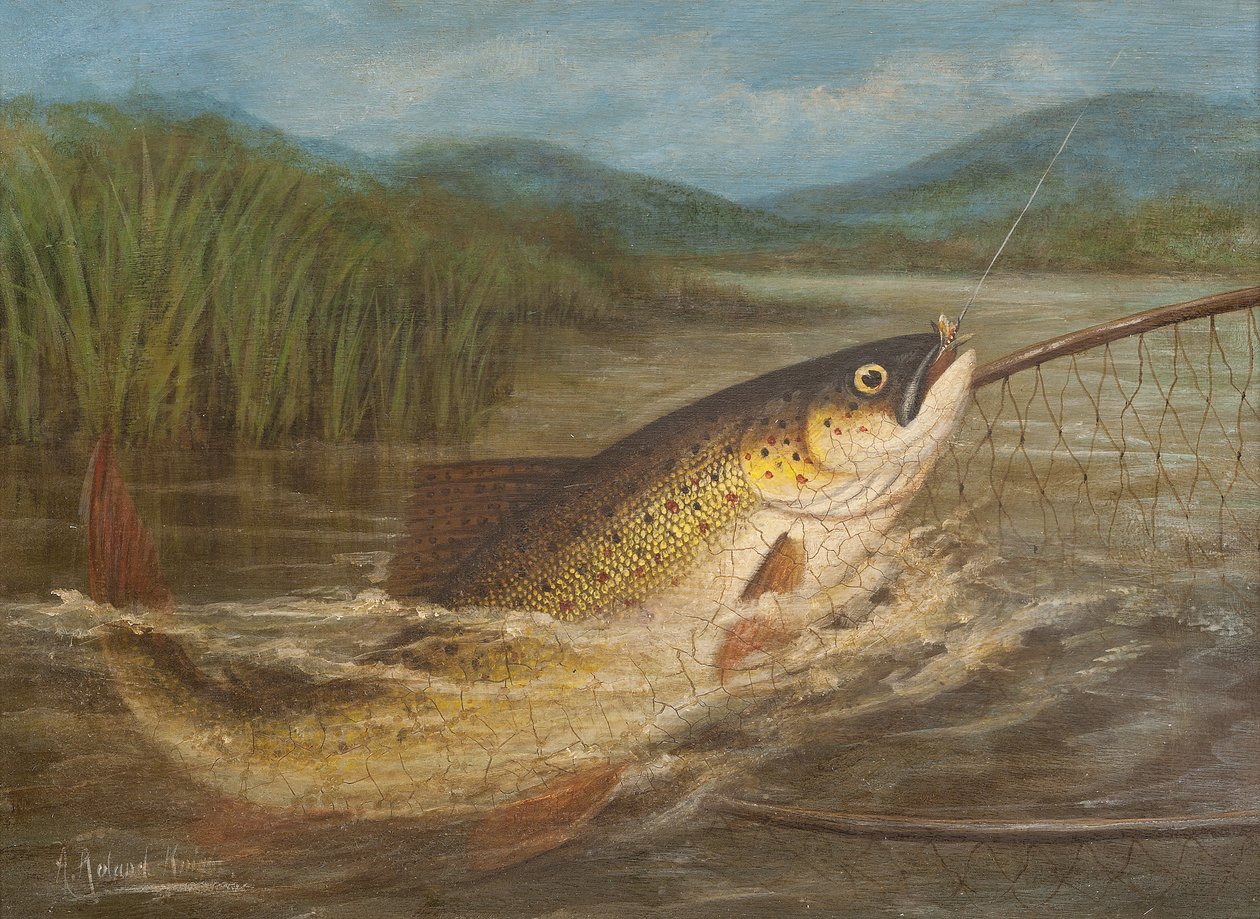 A légyhalász hálója alkotó: A. Roland Knight