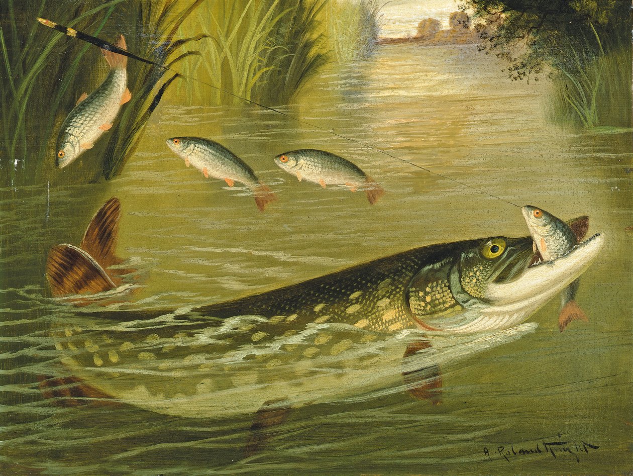 A négy, aki megszökött! alkotó: A. Roland Knight