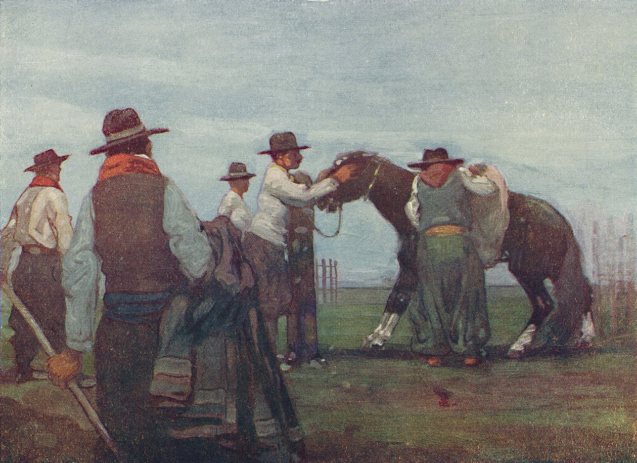 Gauchók egy fiatal lóba törve, 1916 alkotó: A. S. Forrest