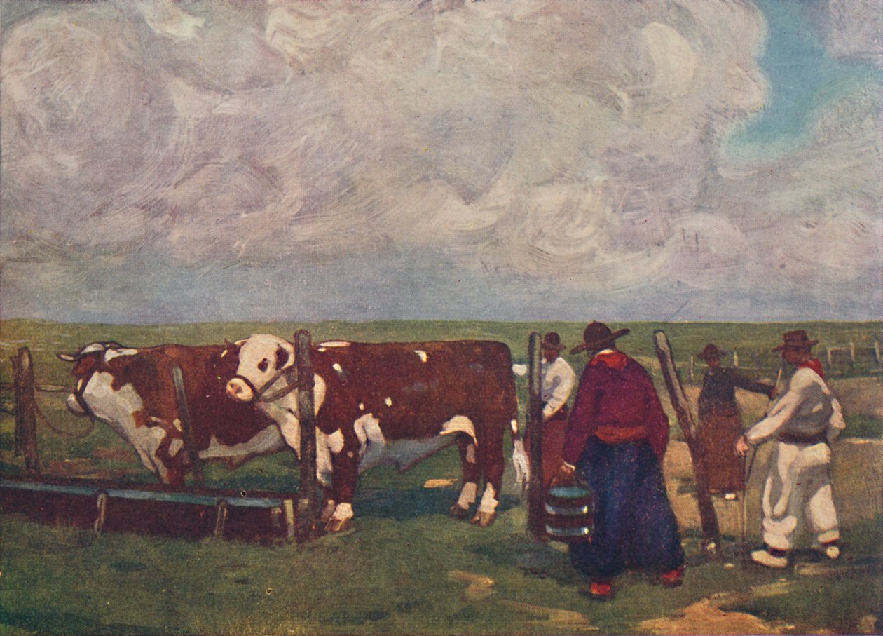 Törzskönyvi ökrök egy Lemco Estancia-n, 1916 alkotó: A. S. Forrest