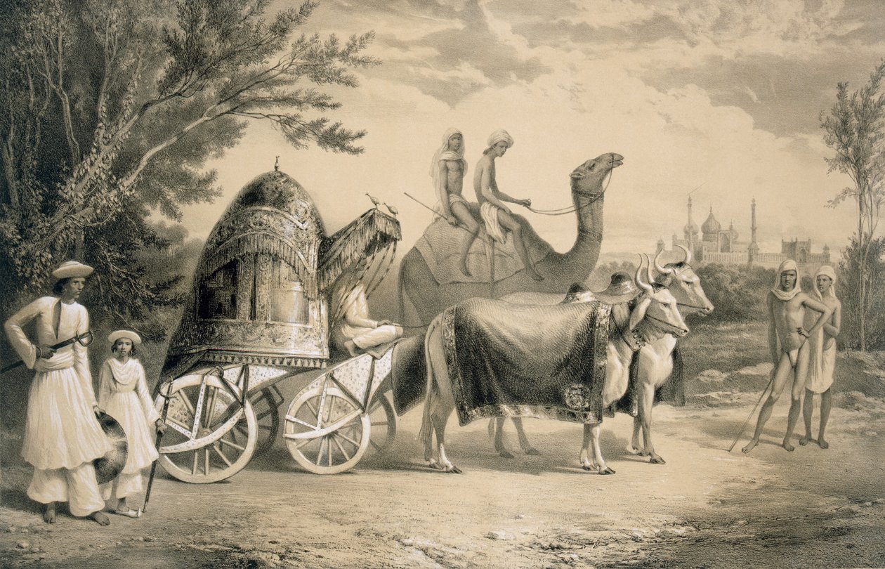 A delhi király háremkocsija, az "Utazások Indiában" című könyvből, Smith, Elder és társai, 1858. alkotó: A. Soltykoff