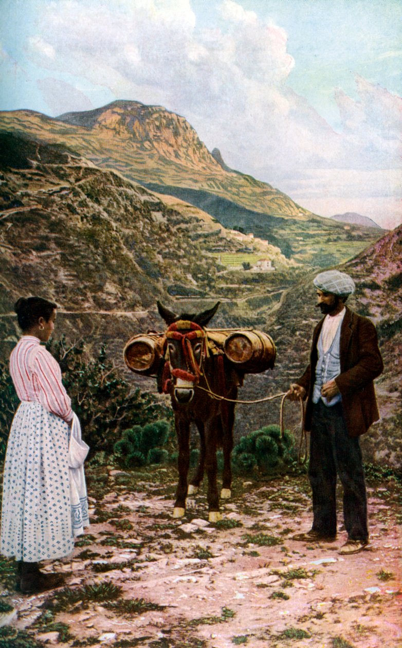 Öszvér vizes hordóval, Szicília, Olaszország, c1923 alkotó: A. W. Cutler
