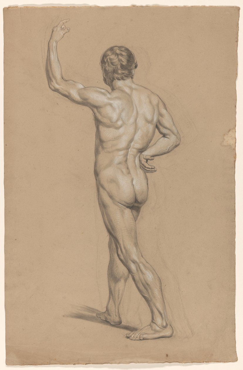 Hátulról nézve álló férfi akt alkotó: A. Waterloo (attributed to)