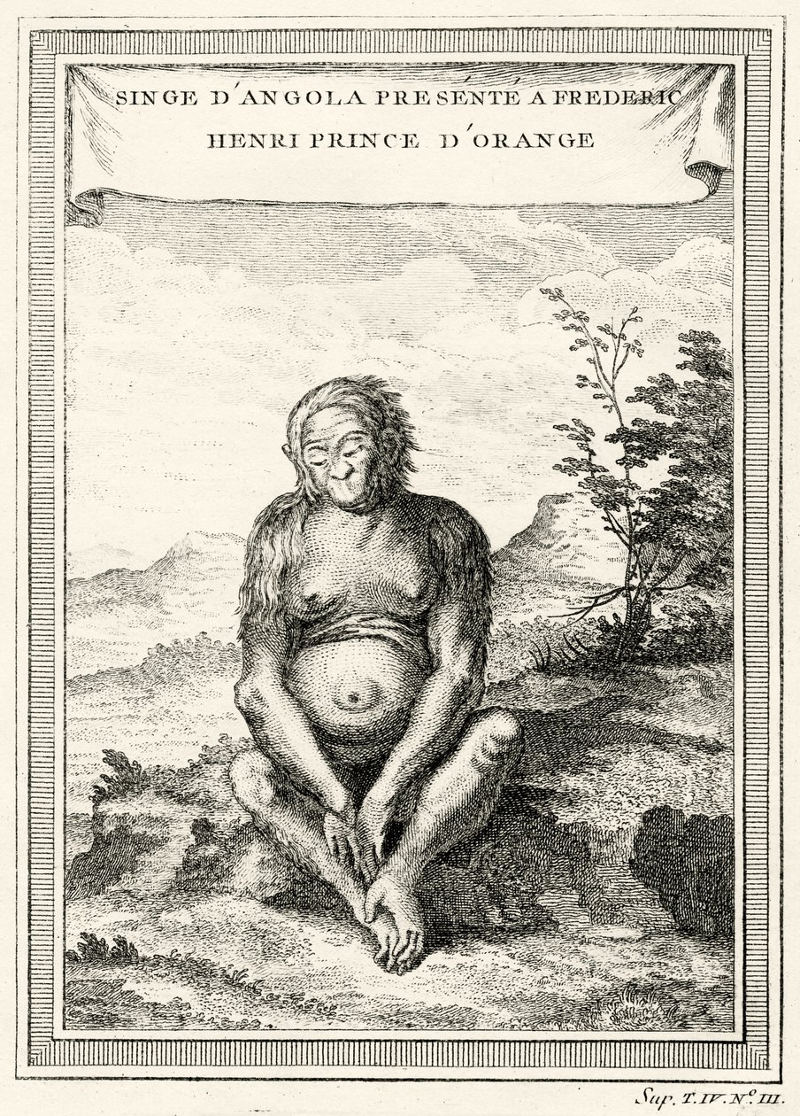 Az Orang-Outang illusztrációja, amelyet Frederick Henrynek, Orange hercegének ajándékoztak, 1750 alkotó: Abbé Prévost