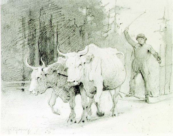 Egy francia paraszt, aki ökröket hajt (faszén papíron) alkotó: Abbott Handerson Thayer