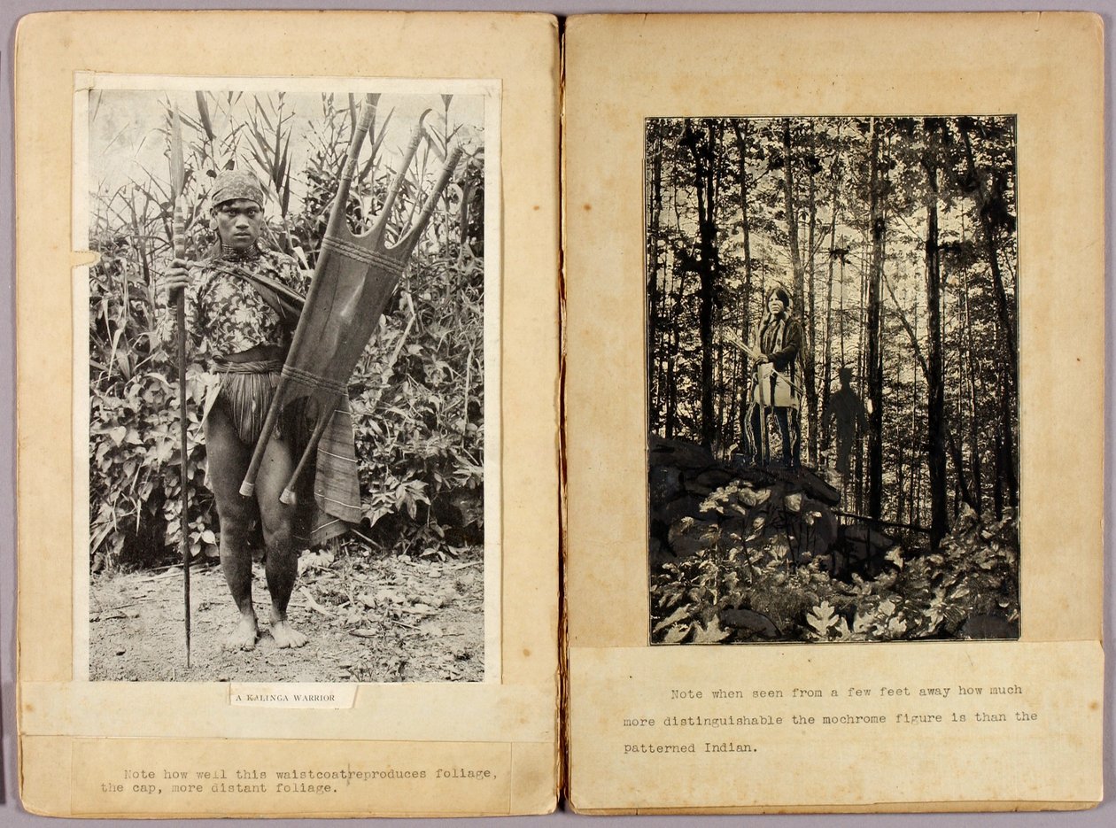 Kalinga harcosok és észak-amerikai indiánok, tanulmányi mappa a Concealing Coloration in the Animal Kingdom című könyvhöz. alkotó: Abbott Handerson Thayer