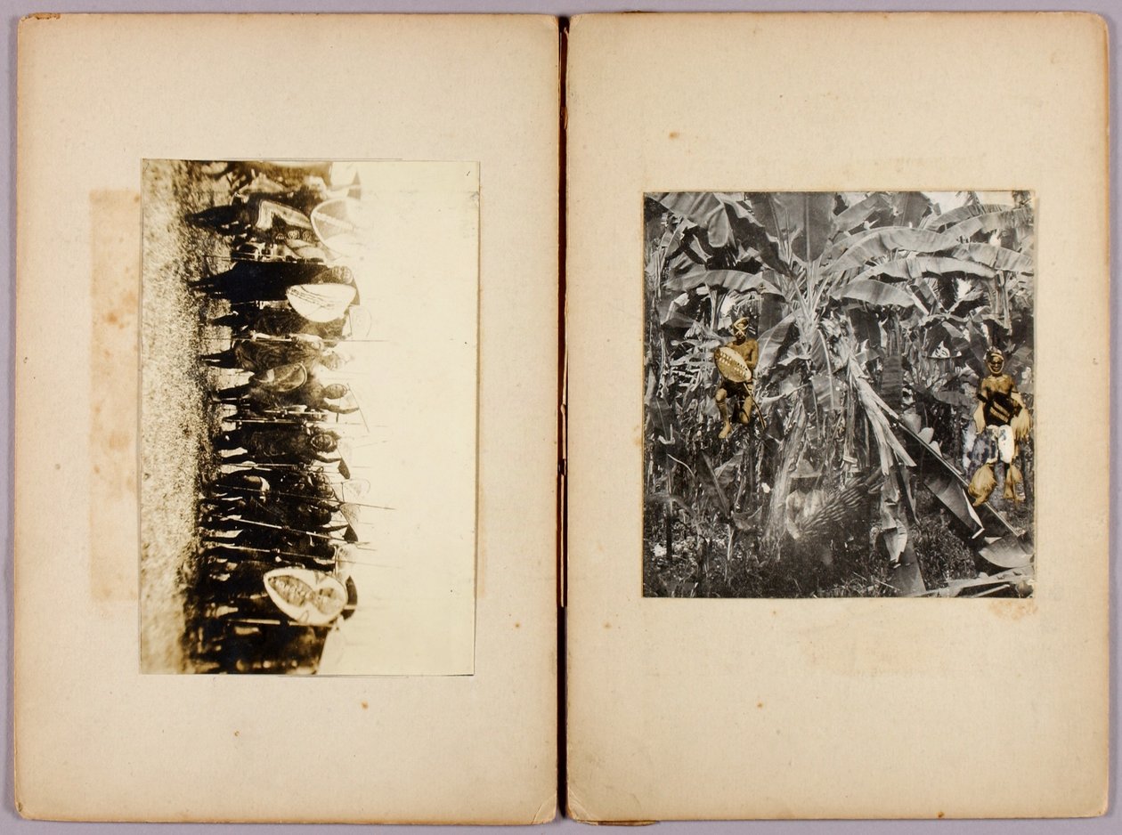 Maorik és más vademberek, tanulmányi mappa a Concealing Coloration in the Animal Kingdom című könyvhöz alkotó: Abbott Handerson Thayer