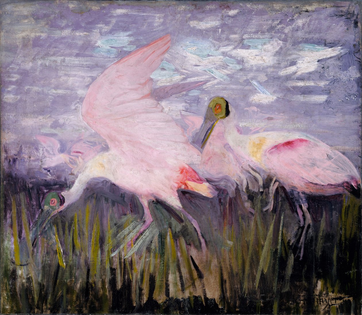 Rózsaszínű kanalasgémek, tanulmány a Concealing Coloration in the Animal Kingdom című könyvhöz alkotó: Abbott Handerson Thayer