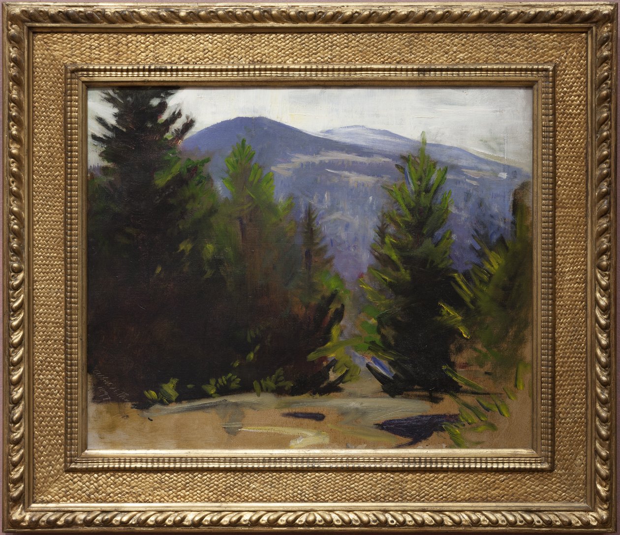 Vázlat a Monadnock-hegyről, 1897 alkotó: Abbott Handerson Thayer