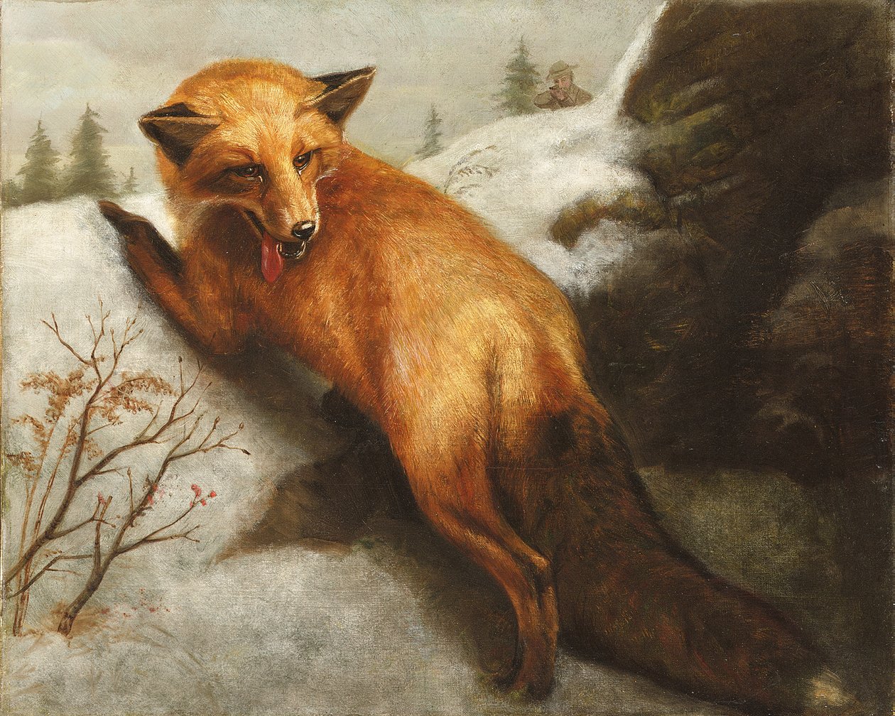 A vörös róka, 1870 alkotó: Abbott Handerson Thayer