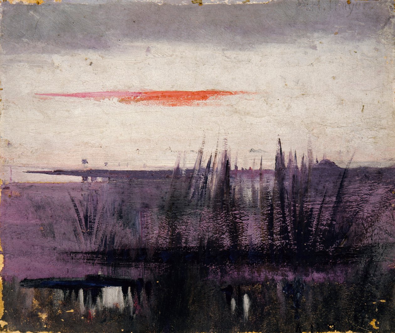 A fehér flamingók által szimulált égbolt tanulmány a könyvhöz, Concealing Coloration in the Animal Kingdom (A színezés elrejtése az állatvilágban) alkotó: Abbott Handerson Thayer