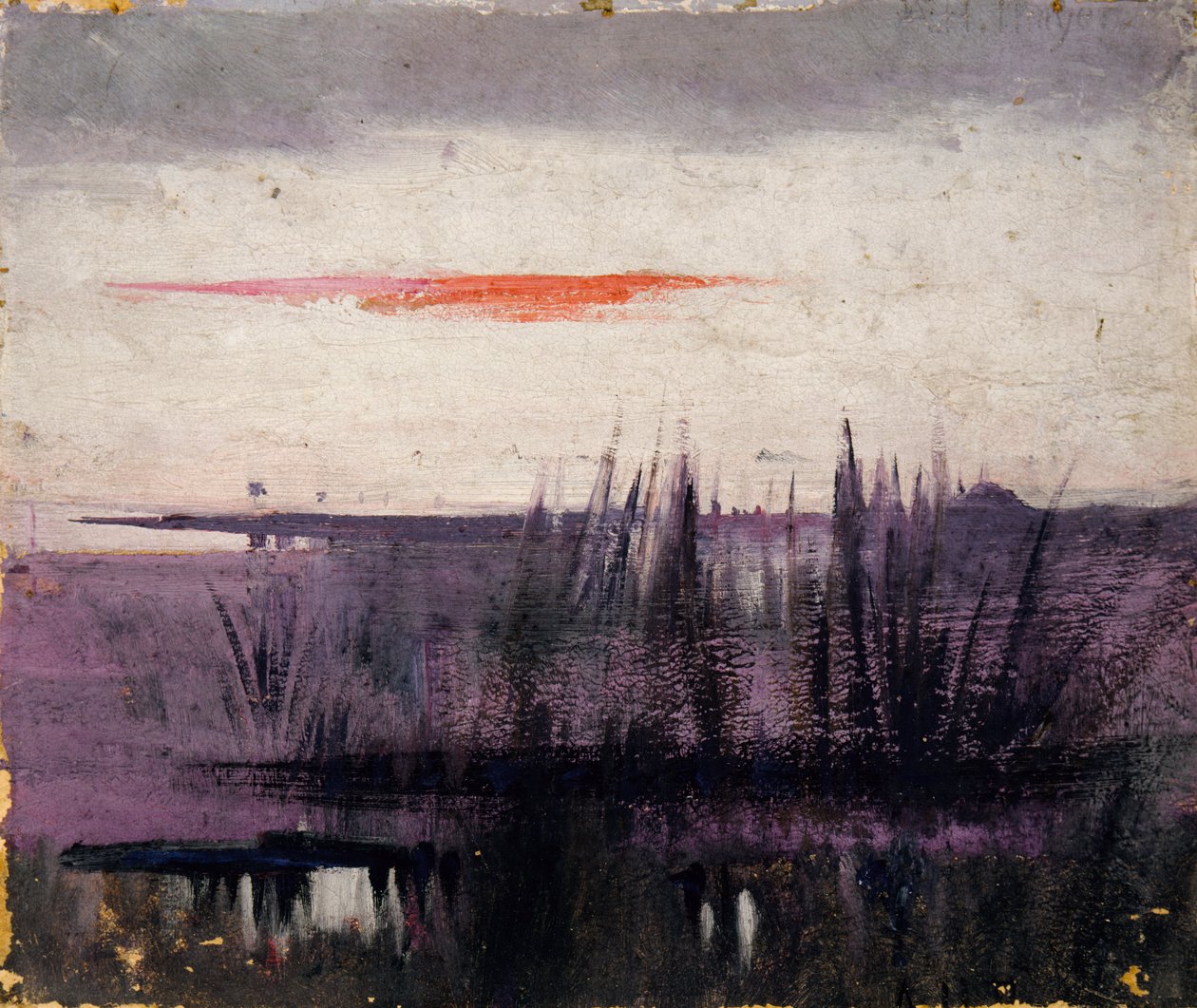A fehér flamingók által szimulált égbolt tanulmány könyvhöz..., az Állatvilágban, kb. 1905-1909. alkotó: Abbott Handerson Thayer