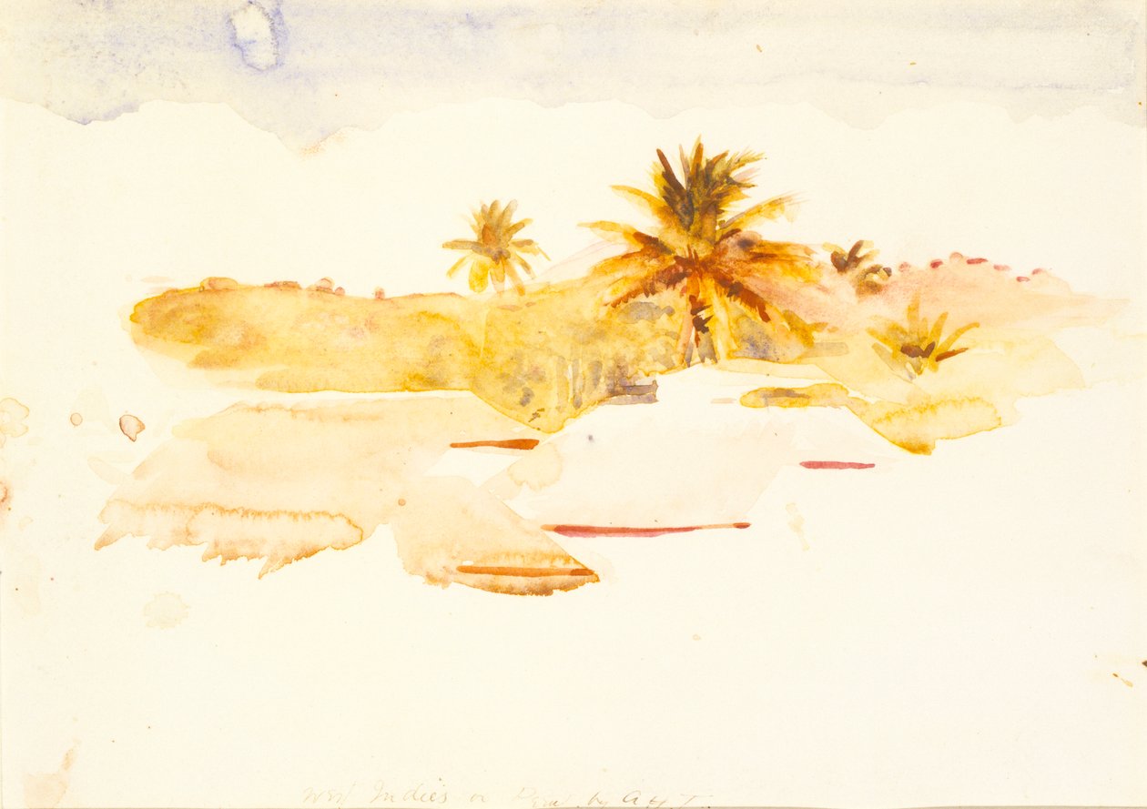 Nyugat-India, n.d. alkotó: Abbott Handerson Thayer