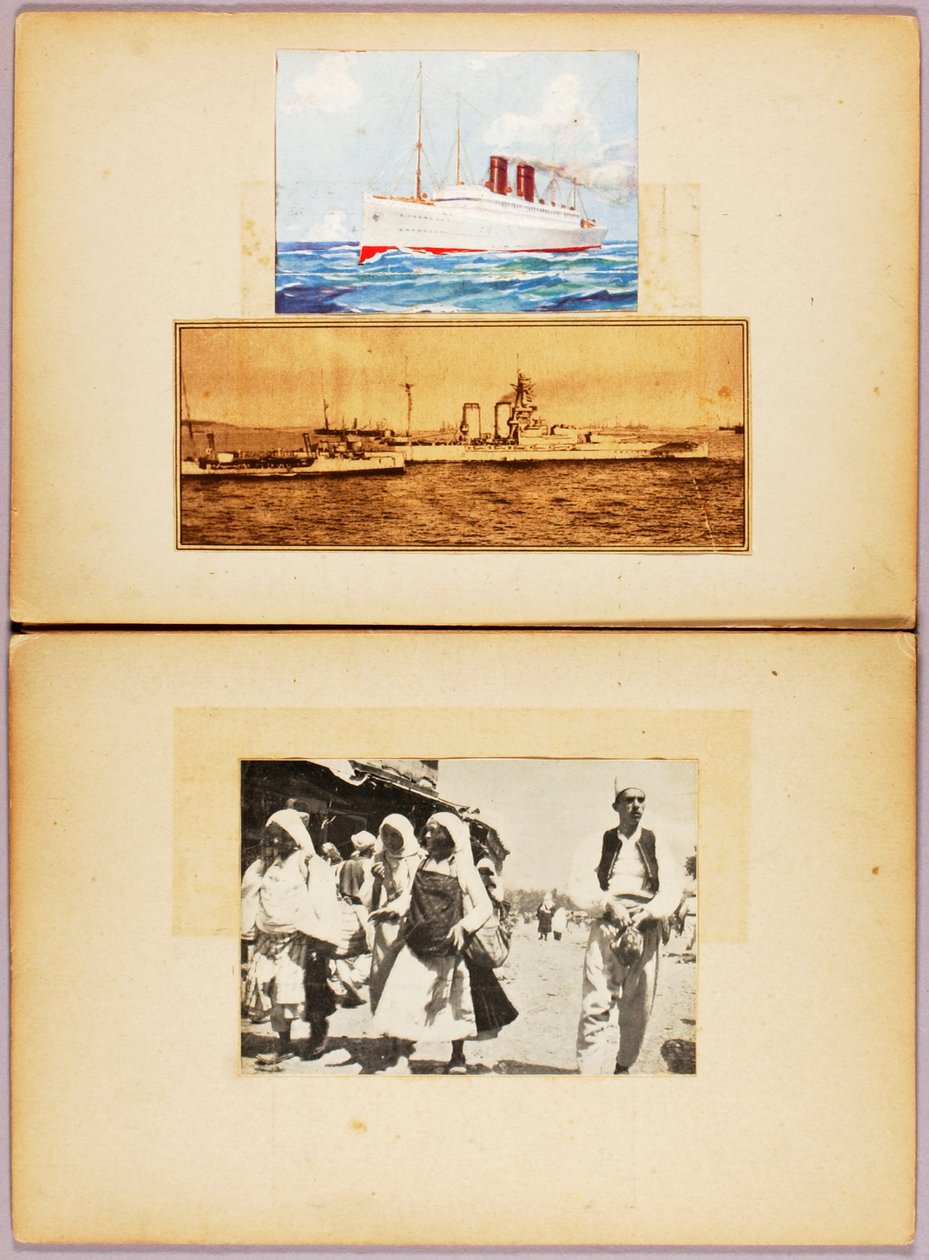 Fehér az égbolt ellen - arabok, tanulmányi mappa a Concealing Coloration in the Animal Kingdom című könyvhöz alkotó: Abbott Handerson Thayer