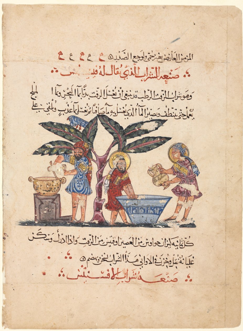 Folio Dioscorides Materia Medica arab fordításából alkotó: Abdallah ibn al Fadl (Iraq)