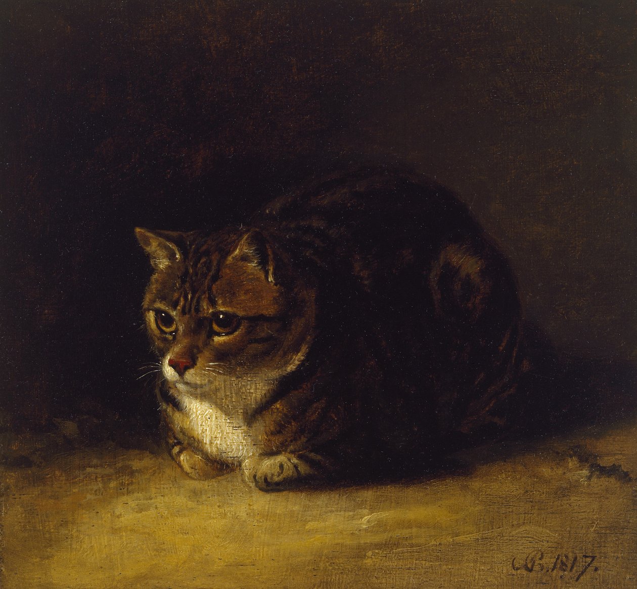 Tanulmány egy macskáról, 1817 (olaj, tábla, rajzon) alkotó: Abraham Cooper