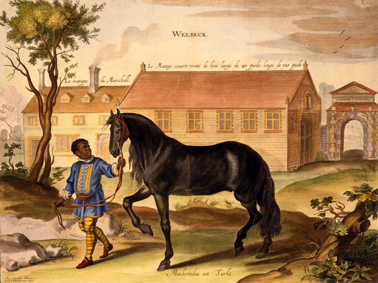 Makomilia, egy török, egy néger istállófiú vezetésével, William Cavendish „A lovak öltöztetésének módszere és új találmánya”, 1737-ben (2. kiadás) (akvatinta) alkotó: Abraham van Diepenbeeck