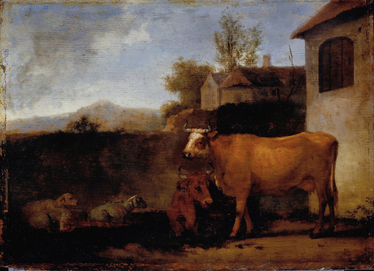 Tehenek és juhok alkotó: Abraham van Calraet