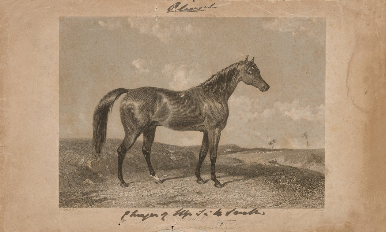 „Aliwal, Sir Harry Smith, Bart birtoka” (litográfia) alkotó: Abraham (after) Cooper