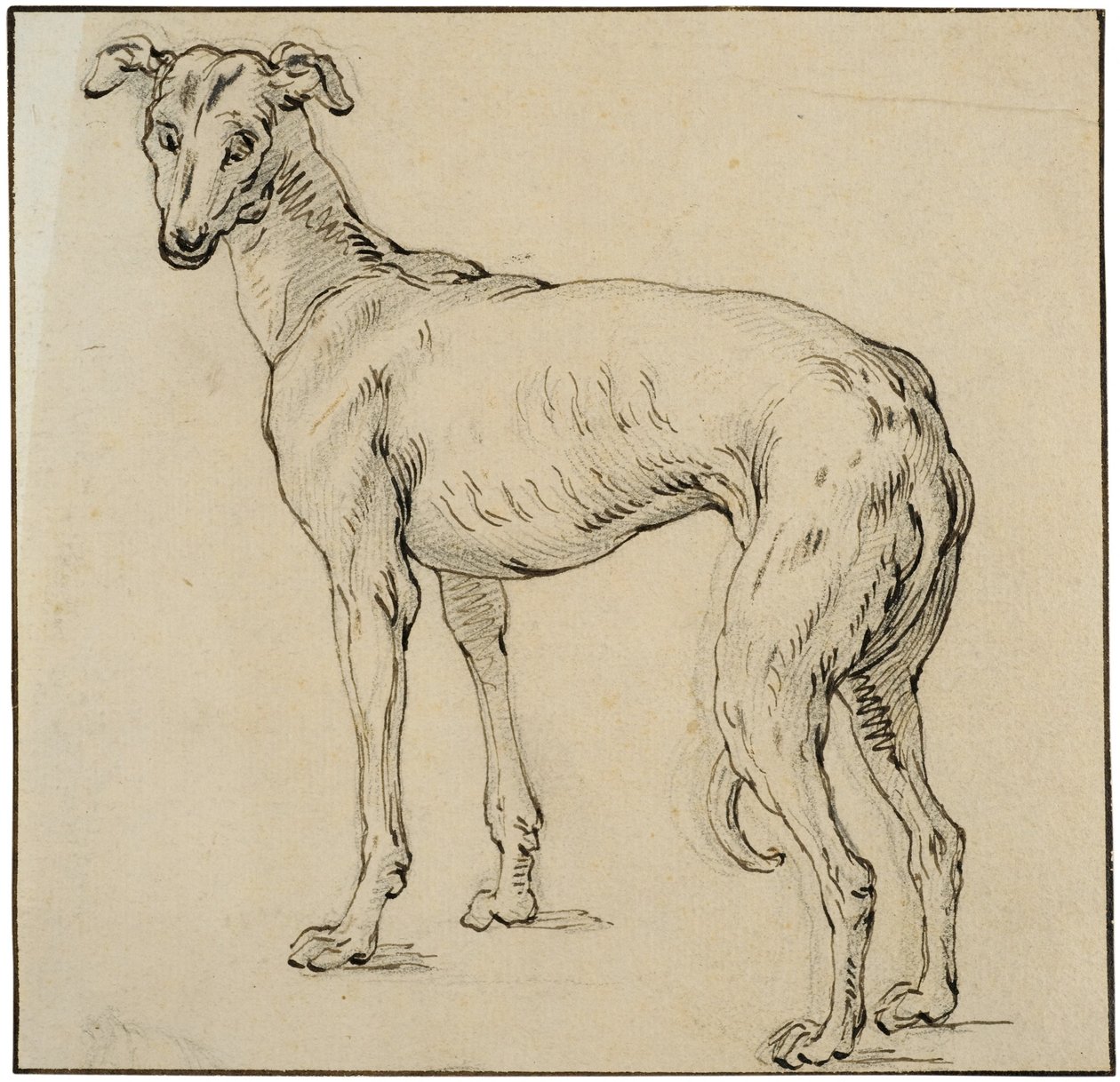 Greyhound alkotó: Abraham Bloemaert