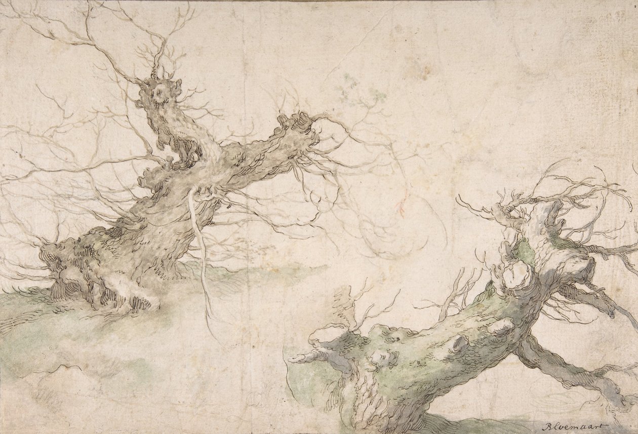 Studies of Two Pollard Willows, Verso: Wide Landscape Prospect, 16. század vége-17. század közepe. alkotó: Abraham Bloemaert