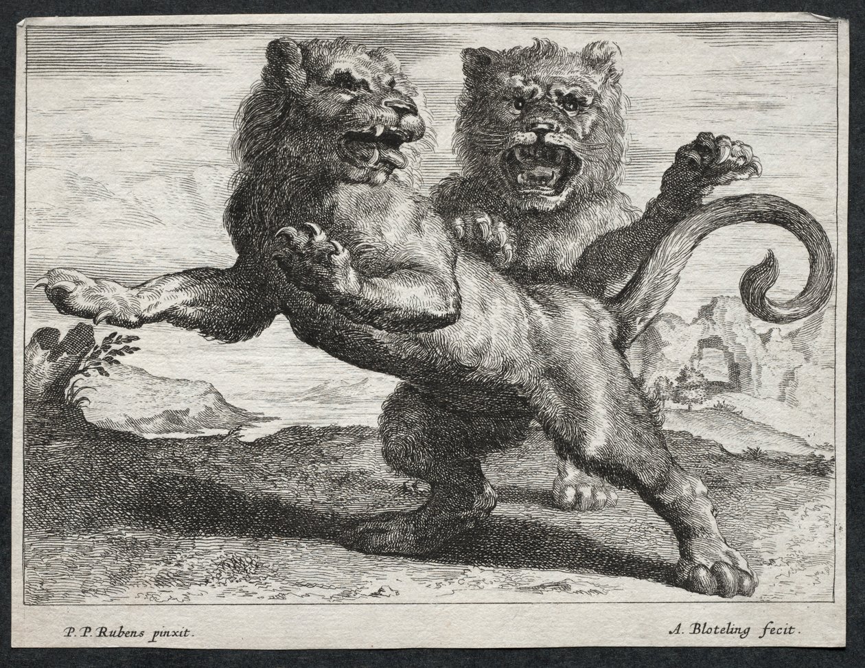 Különféle oroszlánok. alkotó: Abraham Blooteling