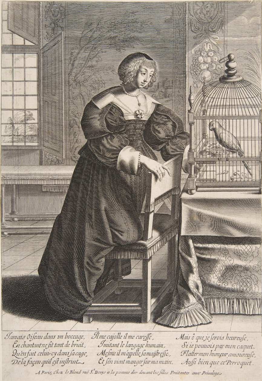 A papagáj, 1620-76. alkotó: Abraham Bosse