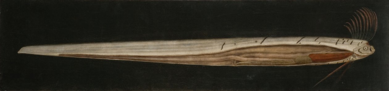  alkotó: Abraham Bruiningh van Worrell