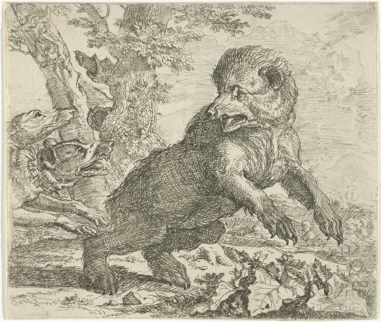 Kutyák támadták meg a medvét Különböző állatok (sorozat címe) alkotó: Abraham Danielsz. Hondius