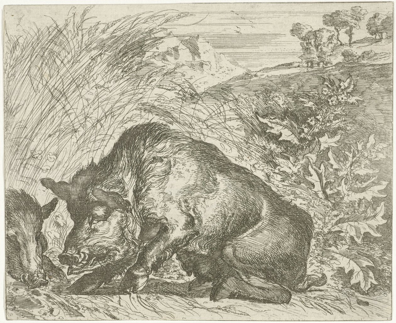 Vaddisznó Különböző állatok (sorozat címe) alkotó: Abraham Danielsz. Hondius