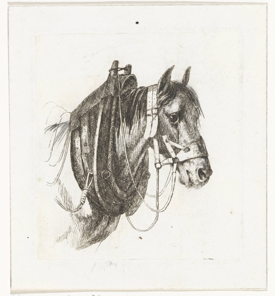 Lófej kantárral, hámmal és nyereggel alkotó: Abraham Hendrik Winter