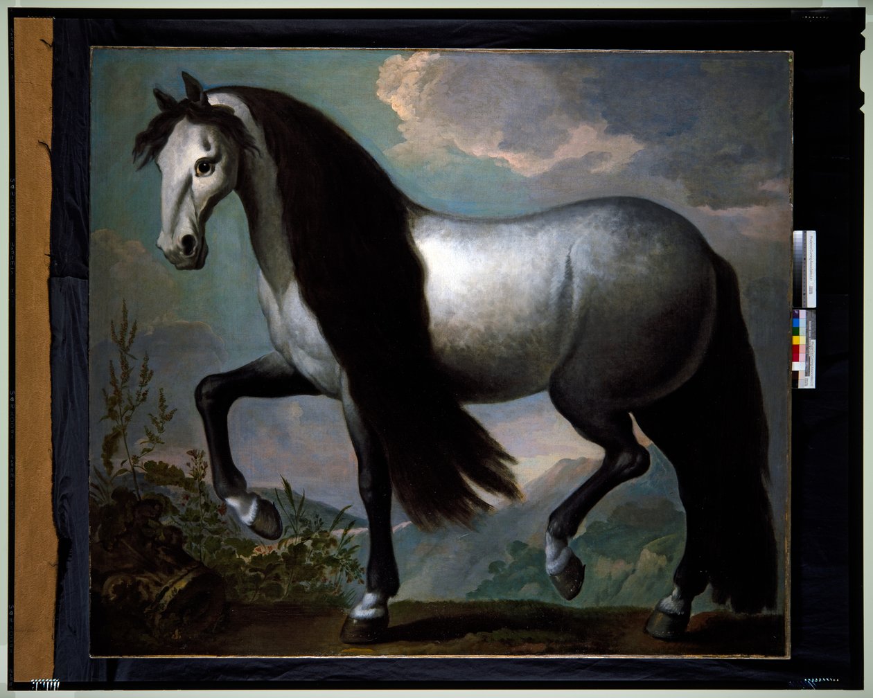 Ló a tájban alkotó: Abraham Jansz. van Diepenbeeck