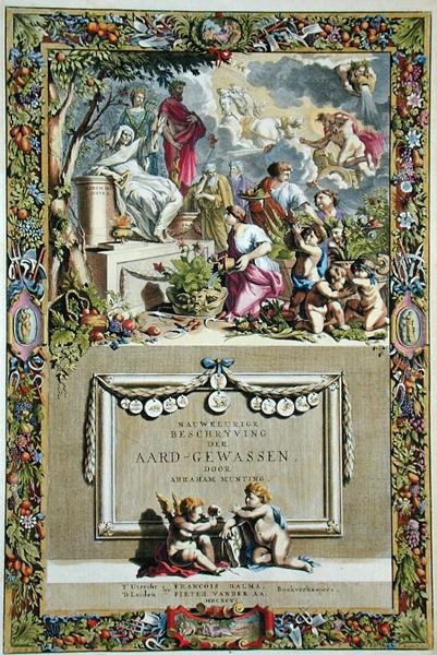 Címlap Abraham Munting (1626-83) "A termés pontos leírása" című művéből, 1666-ban (színes metszet) alkotó: Abraham Munting