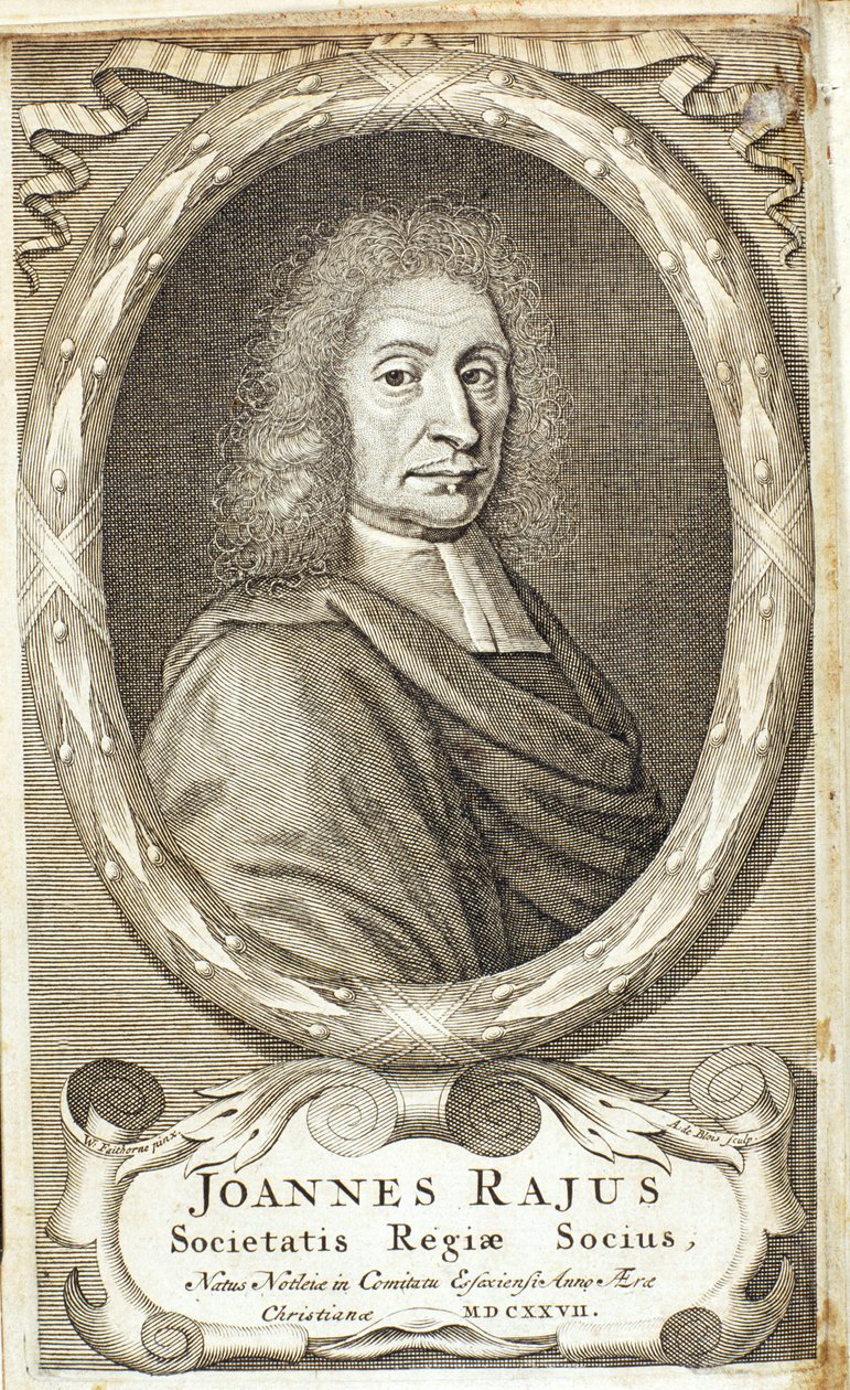 John Ray, angol természettudós, 1680-as évek alkotó: Abraham de Blois