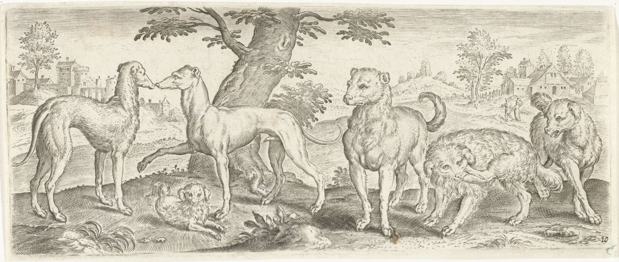kutyák Állatok (sorozat címe) alkotó: Abraham de Bruyn (possibly)