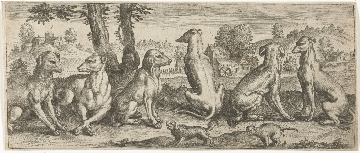 kutyák Állatok (sorozat címe) alkotó: Abraham de Bruyn (possibly)