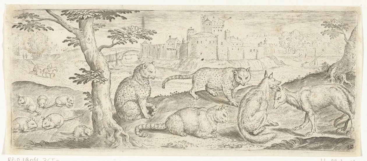 Patkányok, macskák és rókák Állatok (sorozat címe) alkotó: Abraham de Bruyn (possibly)