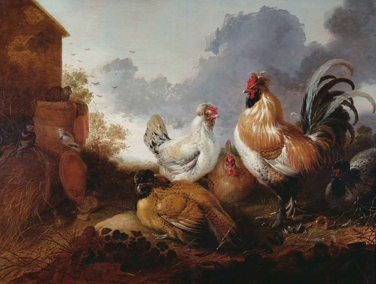 Baromfi a tanya udvarán alkotó: Abraham van Calraet