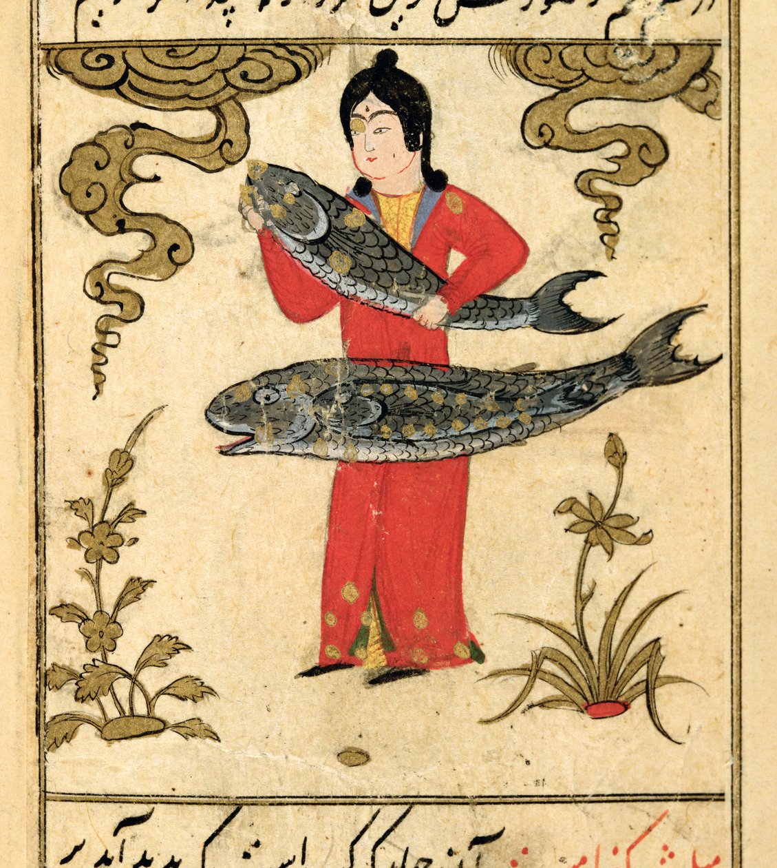 Az állatöv csillagképei: Halak, halak, Talim dar marifat i taqvim, 1498 (903 Hijra) alkotó: Abu Jafar al Tabari