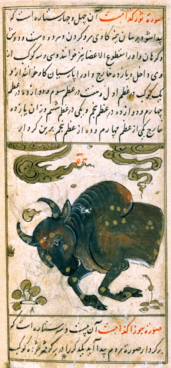 Az állatöv csillagképei: Bika, Bika, Talim dar marifat i taqvuim, 1498 (903 Hijra) alkotó: Abu Jafar al Tabari
