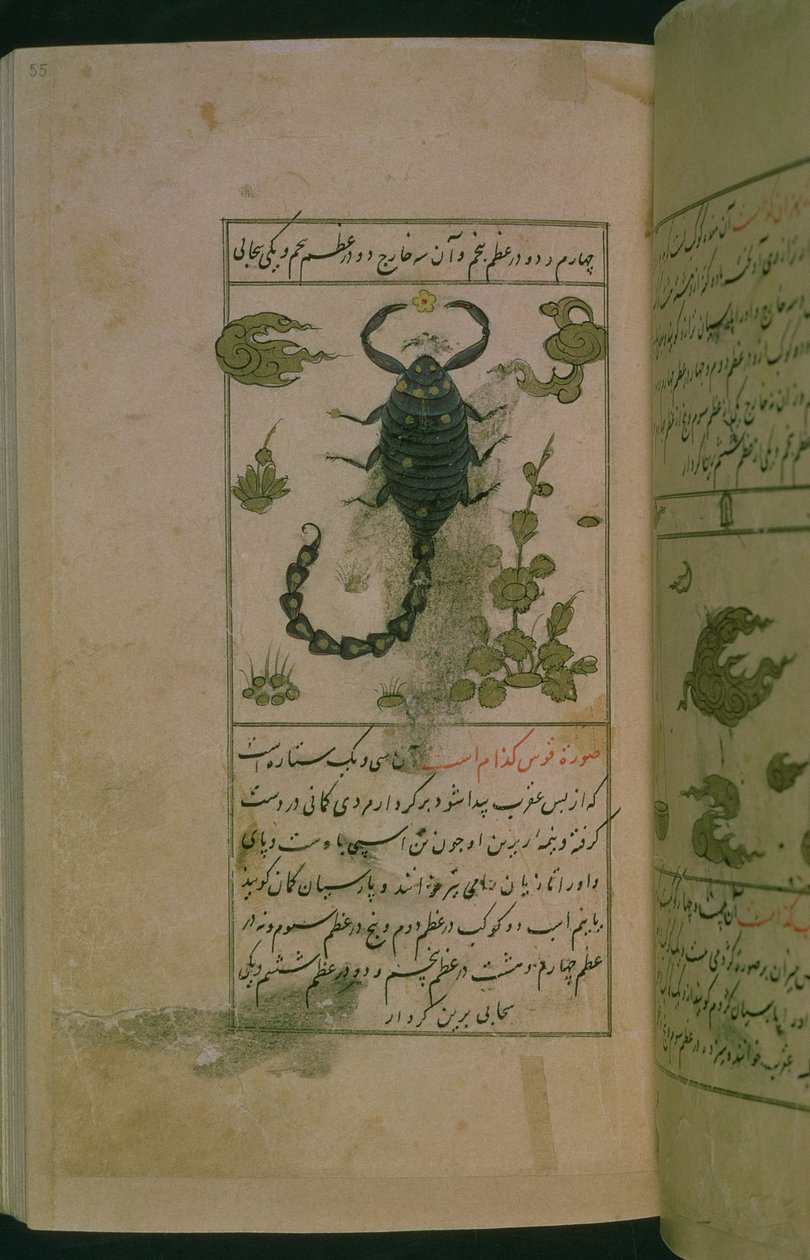 Az állatöv csillagképei: Skorpió, Skorpió, Talim dar marifat i taqvim, 1498 (903 Hijra) (tinta) alkotó: Abu Jafar al Tabari