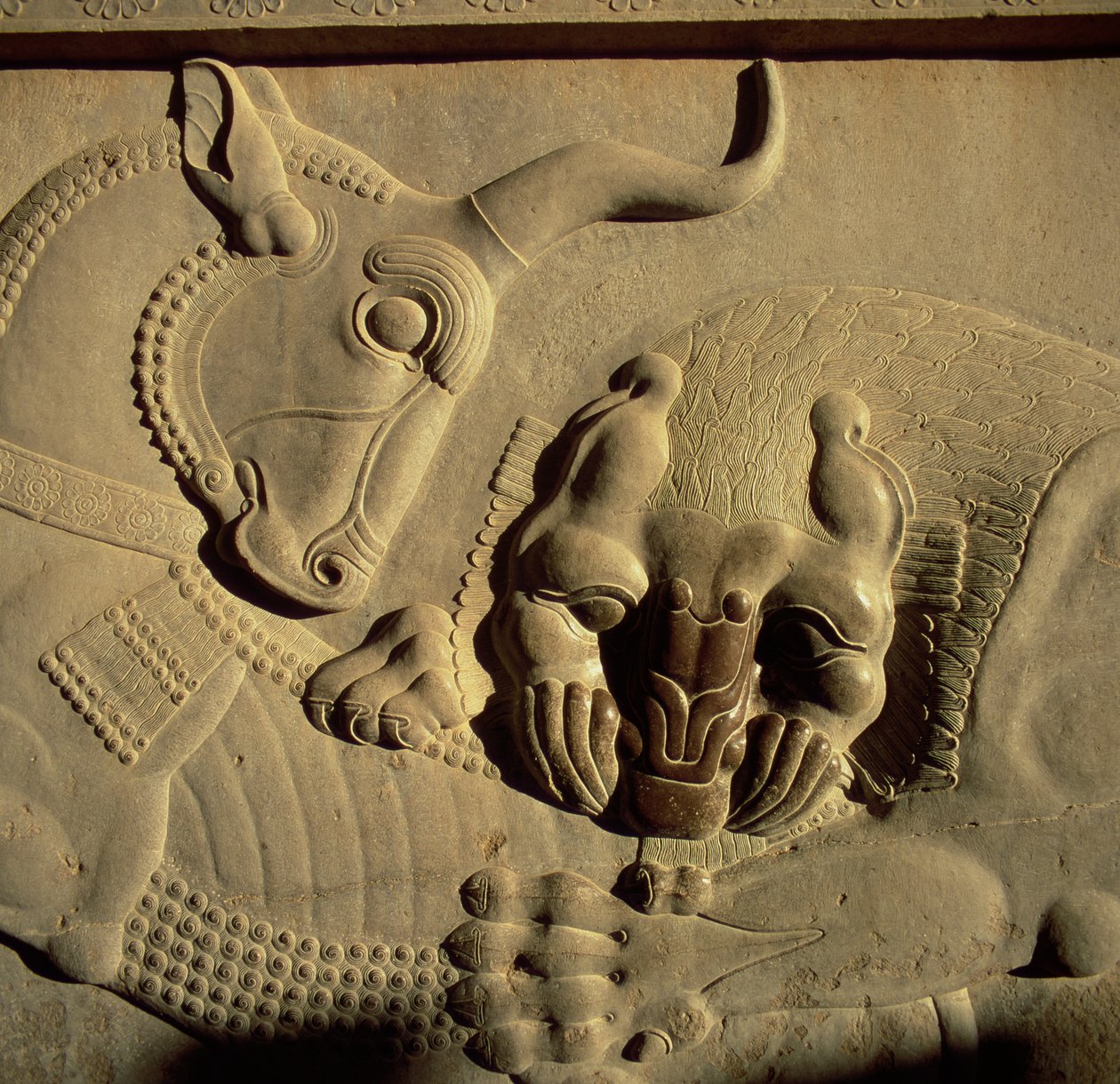 Egy bikára támadó vad oroszlán, dombormű a Tripilon északi lépcsőházának homlokzatáról, Kr.e. 500-480 alkotó: Achaemenid