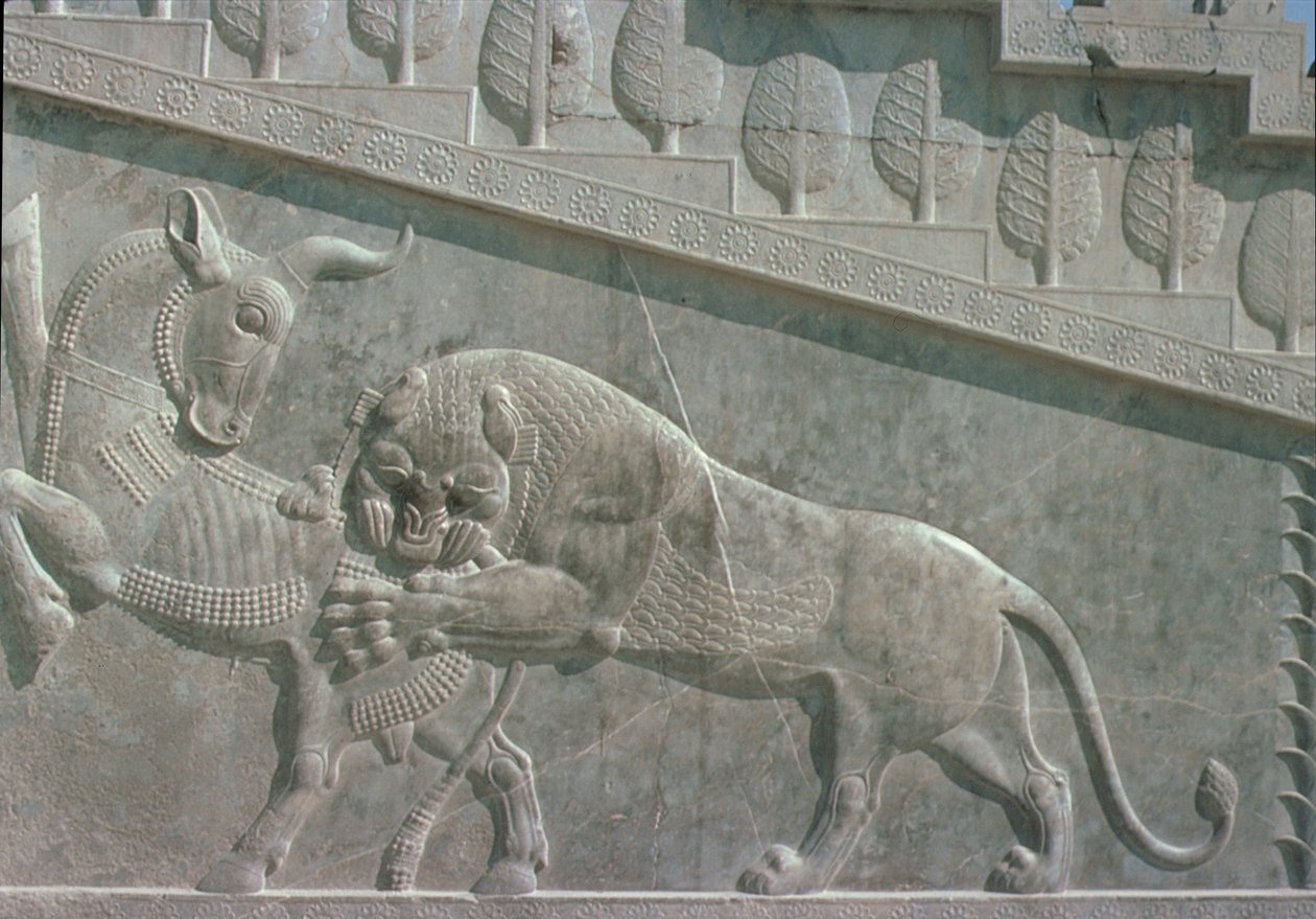 Dombormű az Apadana keleti lépcsőjén, egy bikával harcoló oroszlánt ábrázol, akhém korszak, ie 515 körül (mészkő) alkotó: Achaemenid