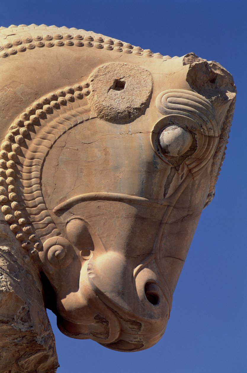 Bikafej a Xerxész tróntermének északi oszlopcsarnokán alkotó: Achaemenid