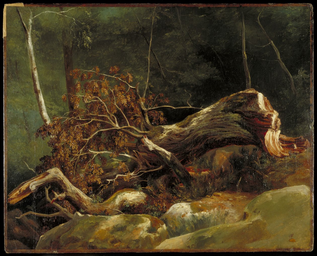 The Fallen Branch, Fontainebleau, 1816 körül (olaj, vászon a kártyán) alkotó: Achille Etna Michallon