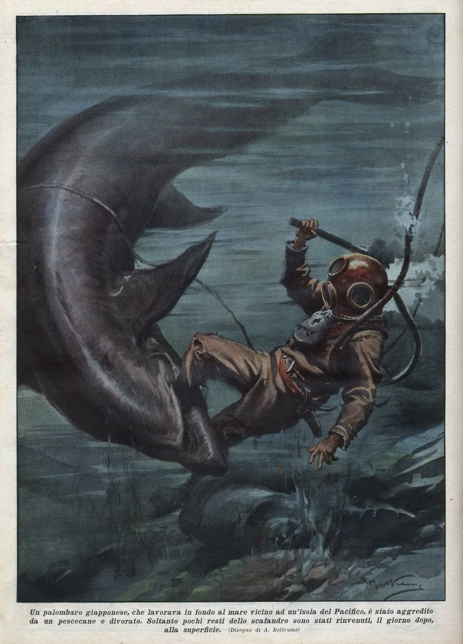 Felfalt egy cápa a Csendes-óceánon egy japán búvárt, aki scaphandlerrel rendelkezik. Illusztráció: Achille Beltrame a „La domenica del corriere”-ből, 1937.08.08. alkotó: Achille Beltrame