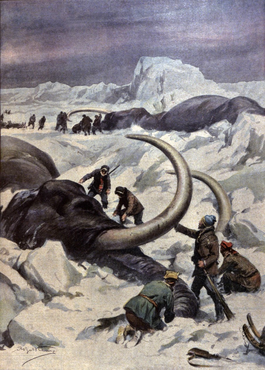 Mamutok az Északi-sarkon alkotó: Achille Beltrame