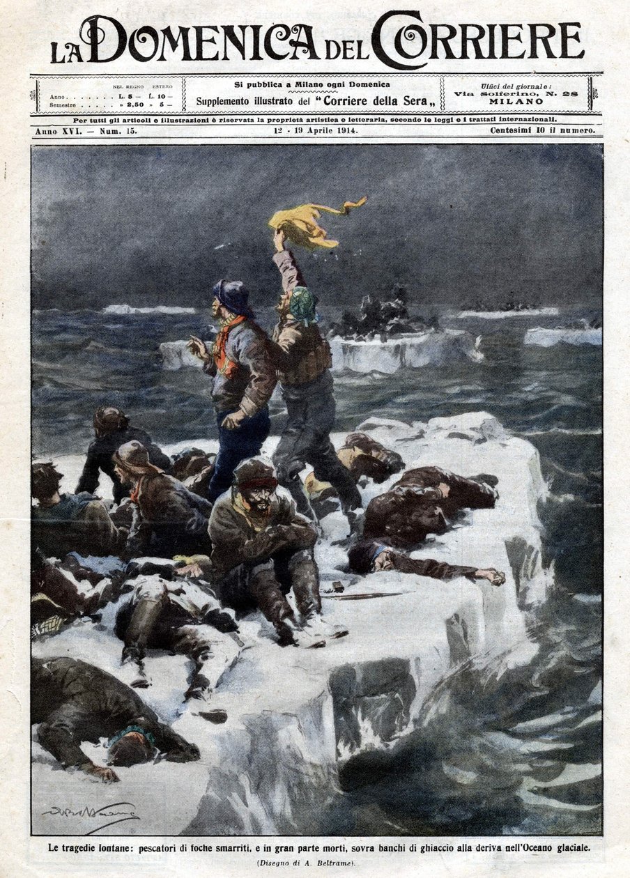 A fókahalászok, akik közül néhányan meghaltak, az óceán sodródó jégen rekedtek. Ill. de Beltrame. „La Domenica del corriere””. 1914.04.12-19. alkotó: Achille Beltrame