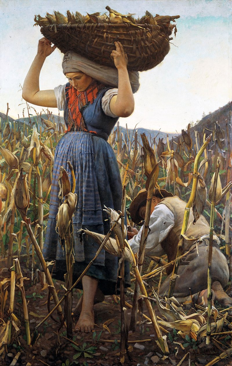 A kukorica betakarítása, 1881. alkotó: Achille Glisenti